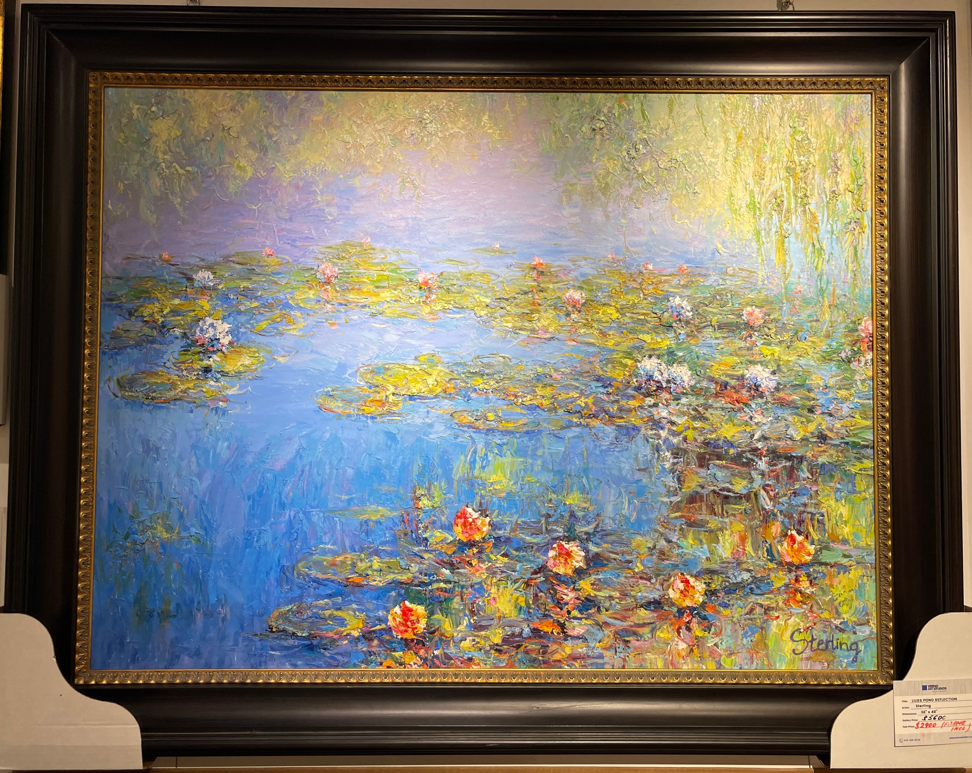 Lily Pond Reflection